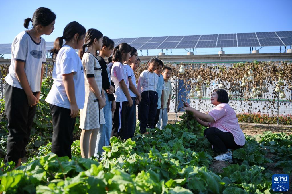 牛牛游戏充钱的